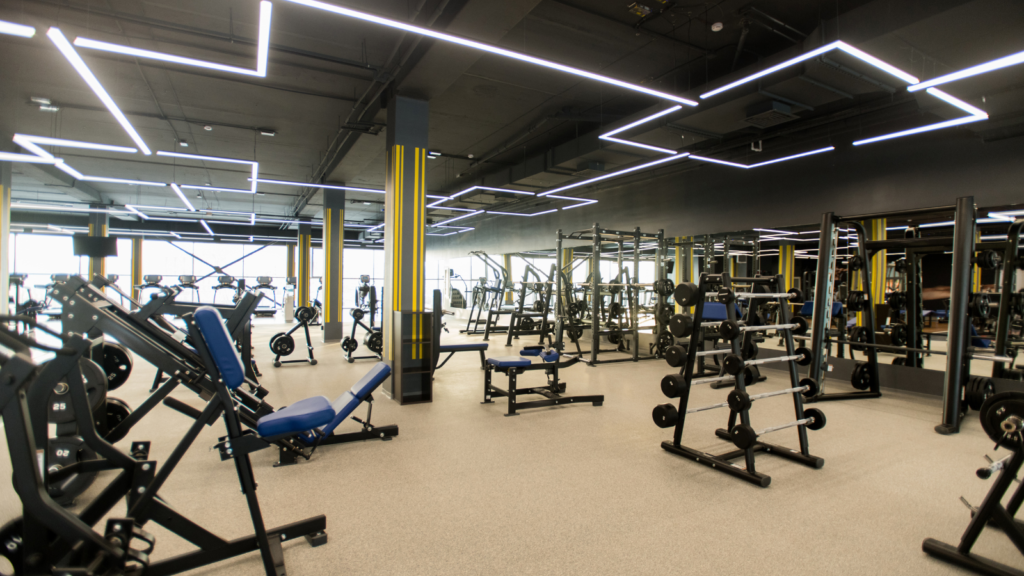 Training Station Alameda Why Some Personal Trainers Fail After Leaving Commercial Gyms in Alameda Renting Training Space - Why Some Personal Trainers Fail After Leaving Commercial Gyms in Alameda